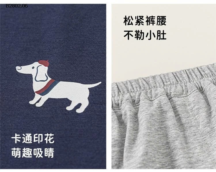 BỘ SÁT NÁCH CHO BT BABYCITY - sỉ 229k