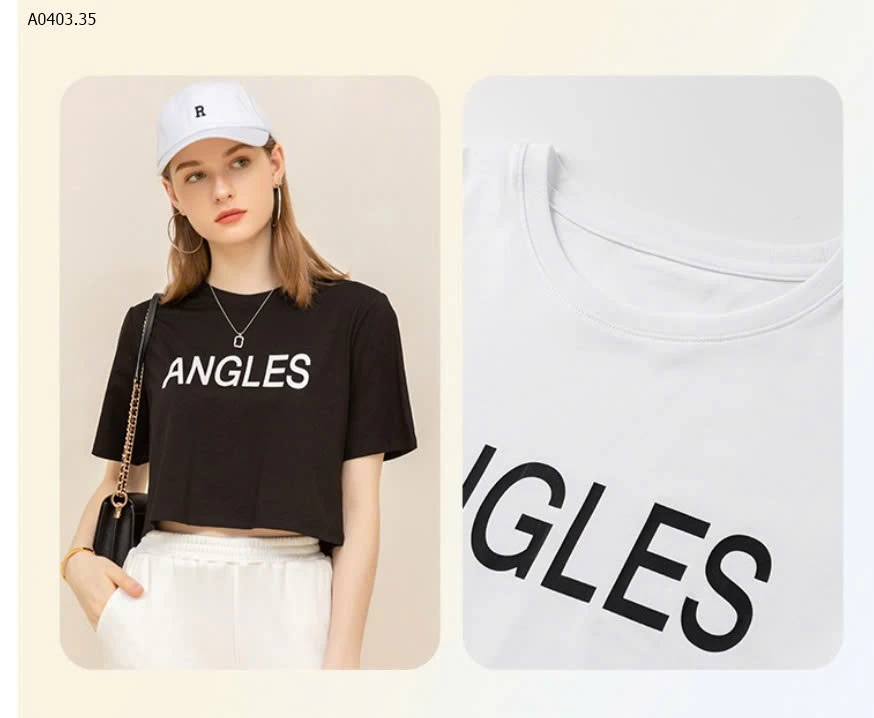 Áo canvas mùa hè  - sỉ 202k