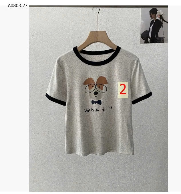 ÁO THUN CÚN CỔ TRÒN- sỉ 143k