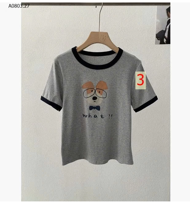 ÁO THUN CÚN CỔ TRÒN- sỉ 143k