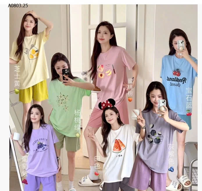 BỘ CỘC TRÁI CÂY MÙA HÈ- sỉ 191k