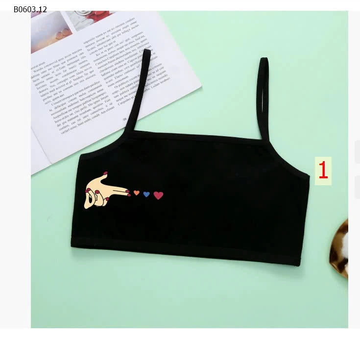 SET 4C ÁO LÓT CHO BÉ GÁI MỚI LỚN -Giá sỉ 86k/set 4c mix màu