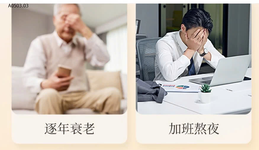 XIANGLIGE ® – Bột linh chi phá vách tế bào, tăng cường sức khỏe mỗi ngày- sỉ 140k