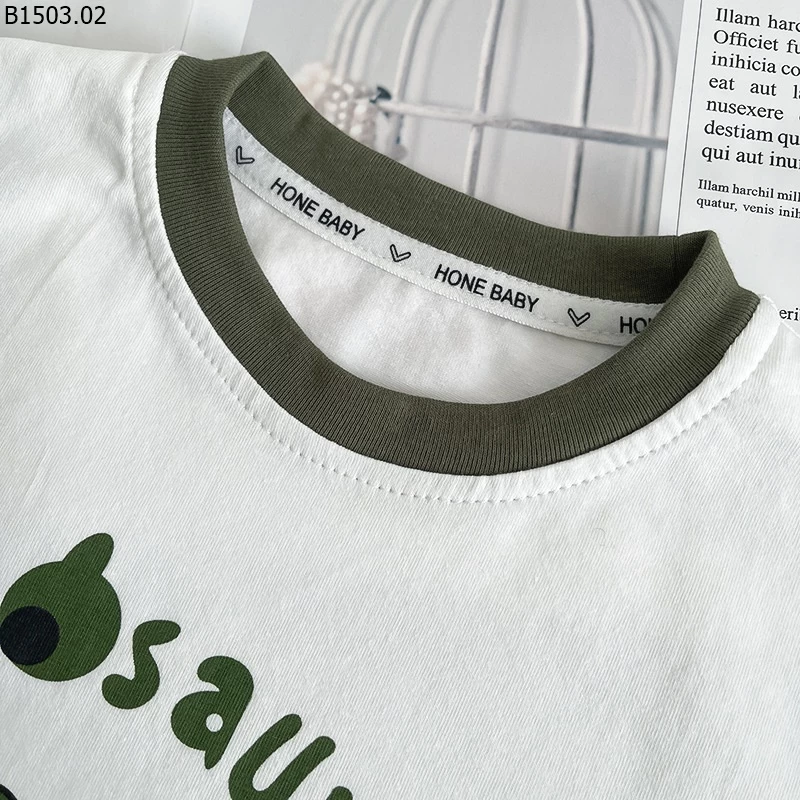 SET BỘ BÉ TRAI ÁO KHỦNG LONG + QUẦN SHORT giá sỉ 127k