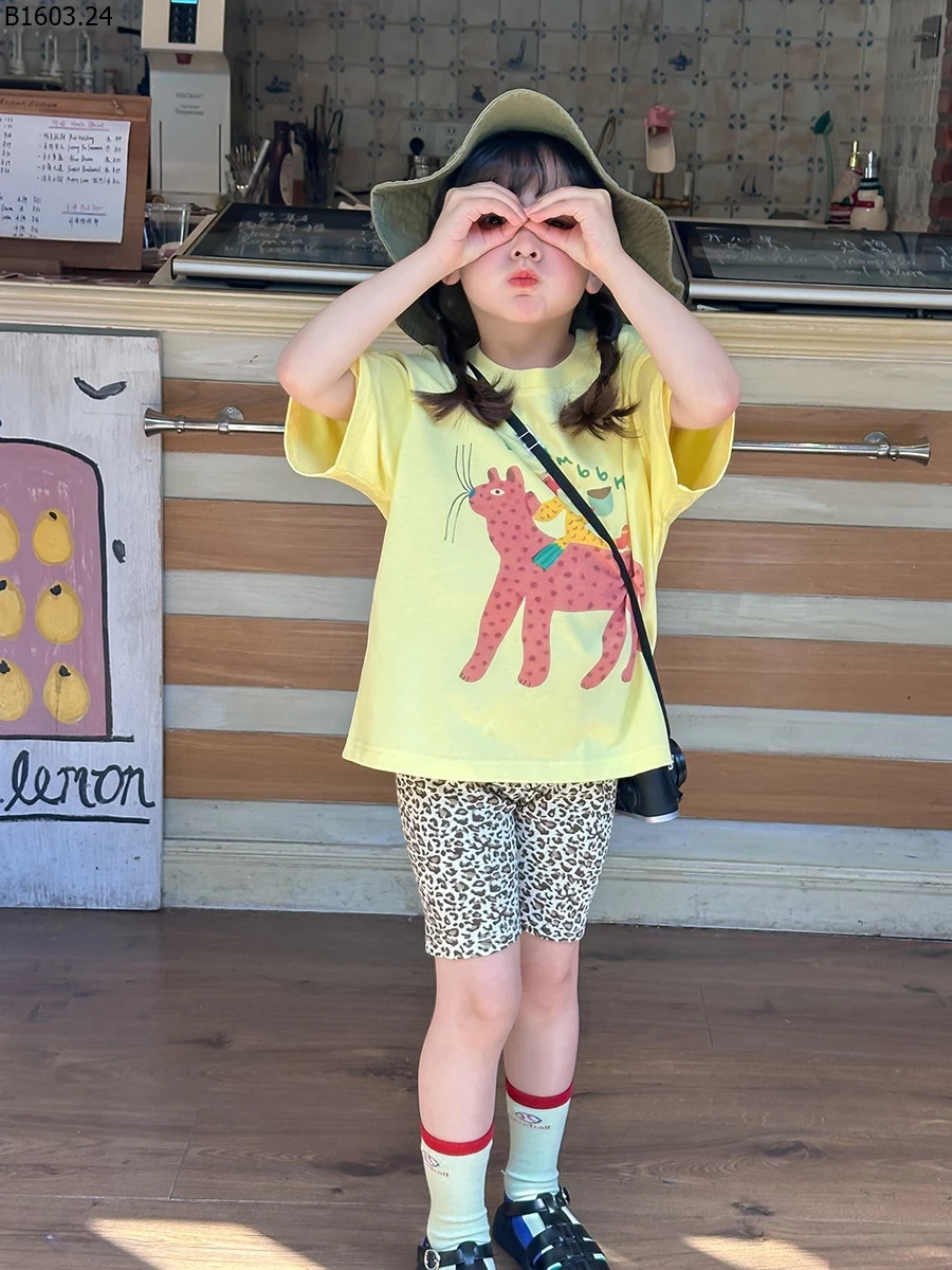 Áo thun trẻ em Elmo phong cách Hàn Quốc mùa hè 2026 NHÀ AMBB giá sỉ sz 90-150 : 129k sz 160 : 139k sz 170 : 149k