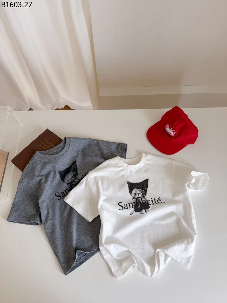 Áo thun ngắn tay kiểu Mỹ thời trang dáng rộng NHÀ AMBB giá sỉ sz 100-150 : 149k sz 160 : 159k sz 170 : 163k