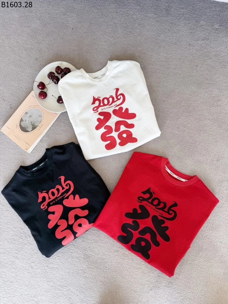 Áo thun ngắn tay kiểu Mỹ thời trang dáng rộng NHÀ AMBB giá sỉ sz 100-150 : 129k sz 160 : 141k sz 170 : 154k