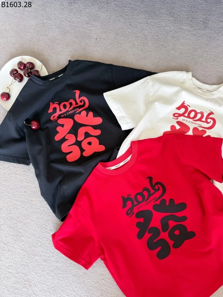 Áo thun ngắn tay kiểu Mỹ thời trang dáng rộng NHÀ AMBB giá sỉ sz 100-150 : 129k sz 160 : 141k sz 170 : 154k