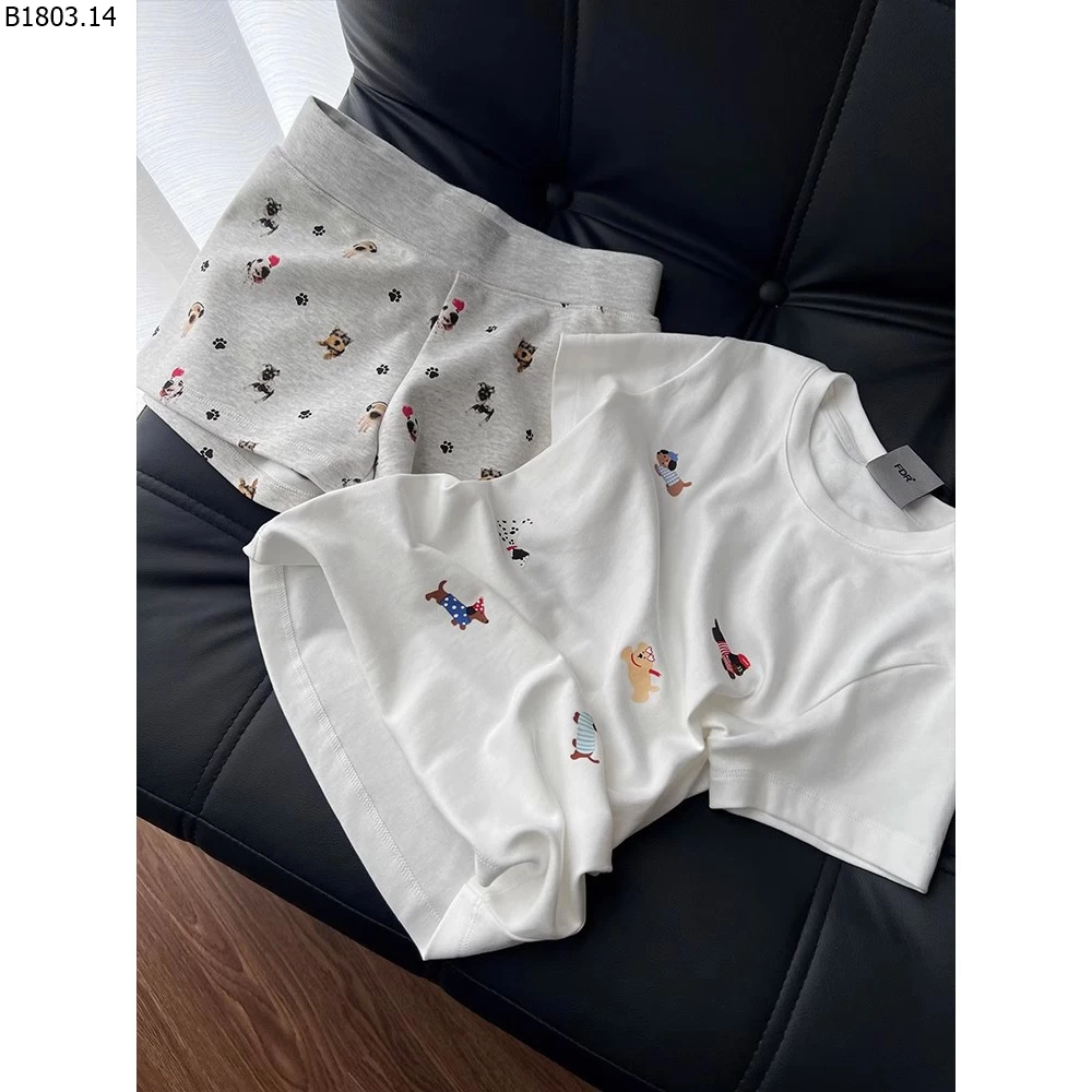 Bộ đồ ngủ nữ mùa hè mỏng nhẹ gồm quần short và áo tay ngắn giá sỉ 159k