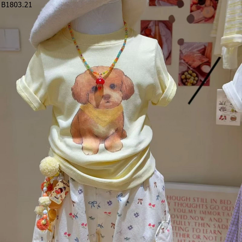 SET ÁO HÌNH CÚN MIX QUẦN HỌA TIẾT CHO BG sỉ size 90-140: 285k size 150-160: 299k