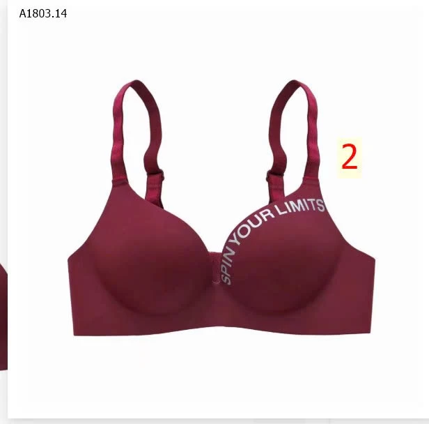 ÁO LÓT ĐÚC SU CHO NỮ - SỈ 145K/set 3c chọn màu sz