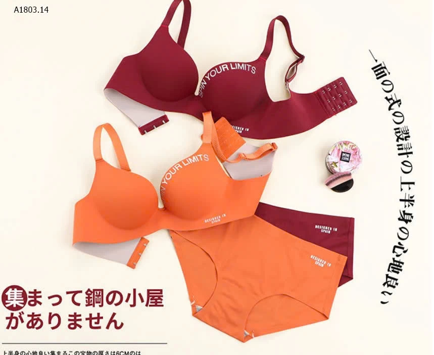 ÁO LÓT ĐÚC SU CHO NỮ - SỈ 145K/set 3c chọn màu sz