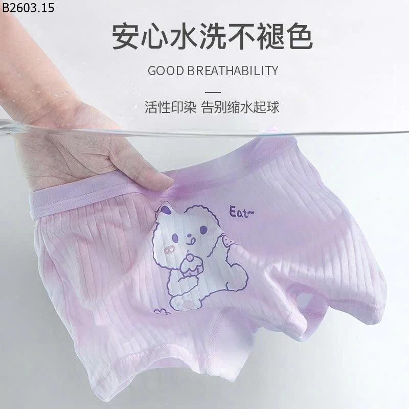 SET 4 QUẦN CHIP ĐÙI CHO BG sỉ 79k