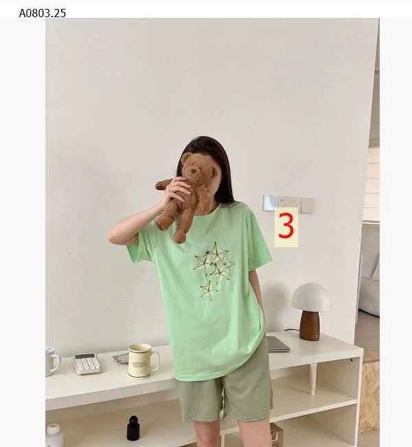 BỘ CỘC TRÁI CÂY MÙA HÈ- sỉ 191k