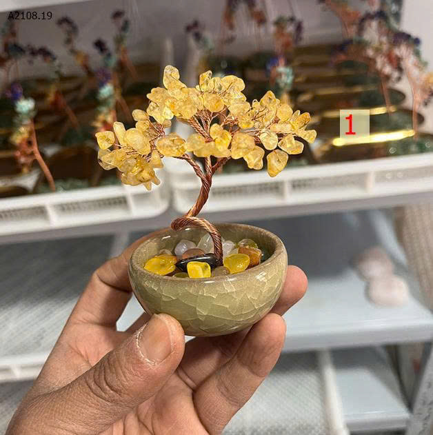 MẪU