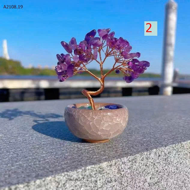 MẪU