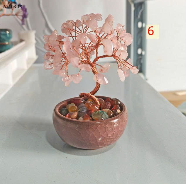 MẪU